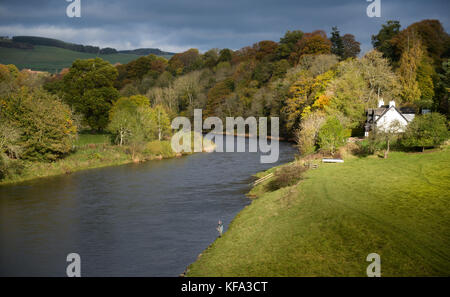 Il fiume Tweed presso Gattonside vicino a Melrose Foto Stock