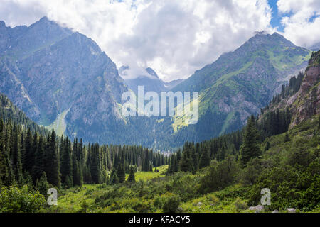 Bosco di abeti e montagne in karakol national park, il Kirghizistan Foto Stock