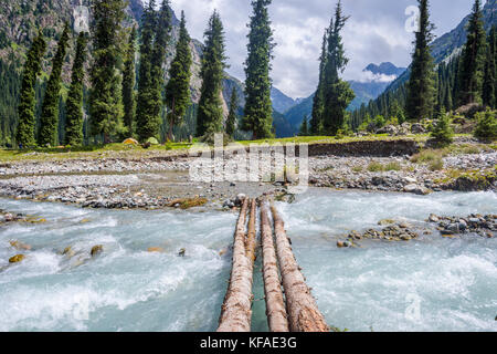 Bosco di abeti e montagne in karakol national park, il Kirghizistan Foto Stock