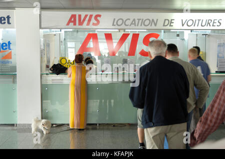 La donna che indossa un lungo abito giallo con un cane bianco all'auto Avis-desk di noleggio nel terminale, coda di uomini in attesa Foto Stock