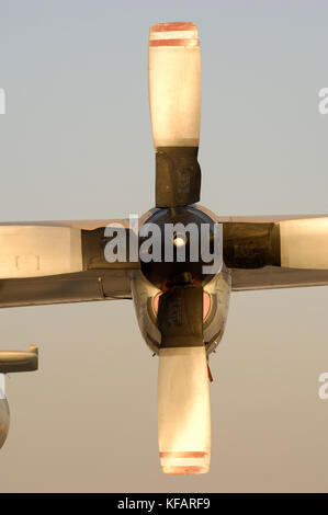 Elica di un Royal Jordanian Air Force a Dubai AirShow 2007 Foto Stock