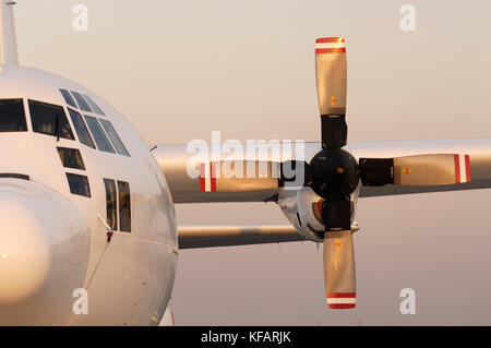 Emirati Arabi Uniti - AirForce Lockheed Martin C-130 Hercules parcheggiato in static-display al salone aeronautico di Dubai 2007 Foto Stock