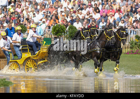 George Bowman (GBR), Giochi equestri mondiali, Aachen, 31 agosto 2006, la Maratona di guida Foto Stock