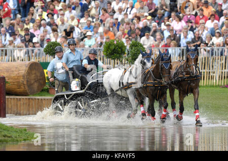 Albert Pointl (AUT), Giochi equestri mondiali, Aachen, 31 agosto 2006, la Maratona di guida Foto Stock