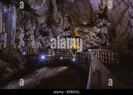 Vietnam's Paradise grotta, meravigliosa caverna a Bo Trach, provincia di Quang Binh, sotterraneo bellissimo luogo per viaggiare, patrimonio nazionale con impressione Foto Stock