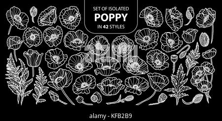 Set di papavero isolati in 42 stili. carino disegnato a mano fiore illustrazione vettoriale solo profilo bianco su sfondo nero. Illustrazione Vettoriale