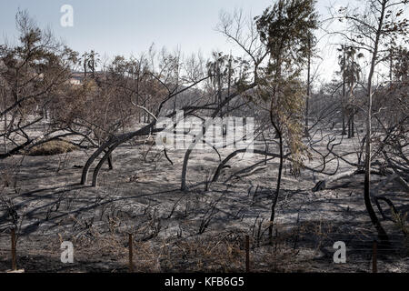 La masterizzazione di area a sinistra dal Canyon 2 Fire a Peters canyon parco regionale in arancione la California del Sud . Il parco rimane chiuso come di Ott 30 2017 Foto Stock