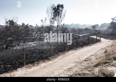 La masterizzazione di area a sinistra dal Canyon 2 Fire a Peters canyon parco regionale in arancione la California del Sud . Il parco rimane chiuso come di Ott 30 2017 Foto Stock