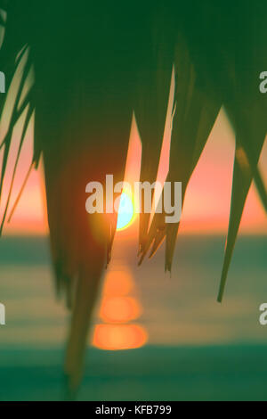 Promessa di riposo celeste. tramonto attraverso foglie di palme sull oceano Indiano, viaggio tropicale. ben riconoscibili le immagini che trigger emotio positivo Foto Stock