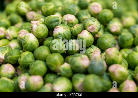 Close up di deliziosi e colorati vibrante i cavoletti di Bruxelles su un mercato in stallo in Inghilterra, Regno Unito Foto Stock