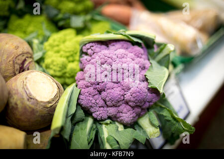 Close up mature e di verde vibrante di verdure Romanesco dietro i cavolfiori di colore viola e svedesi e su un mercato in stallo nello Yorkshire, Regno Unito Foto Stock