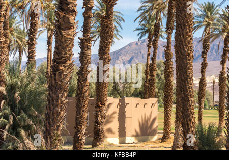 Furnace Creek Ranch villaggio nel Parco Nazionale della Valle della Morte. Stand di palme da dattero. L'Oasi a valle della morte. Foto Stock