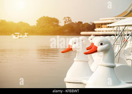 Bianco barche d'anatra parcheggiato nel lungomare del mattino. Foto Stock