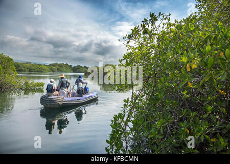 Isole GALAPAGOS, ECUADOR, esplorando Elisabeth Bay in Zodiac Foto Stock