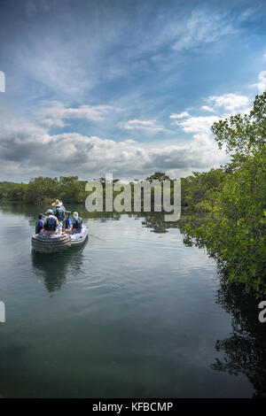 Isole GALAPAGOS, ECUADOR, esplorando Elisabeth Bay in Zodiac Foto Stock