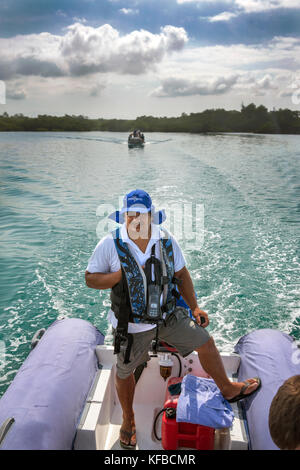 Isole GALAPAGOS, ECUADOR, esplorando Elisabeth Bay in Zodiac Foto Stock