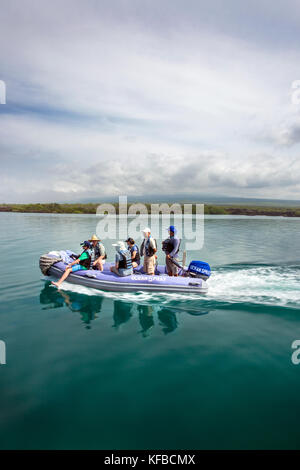Isole GALAPAGOS, ECUADOR, esplorando Elisabeth Bay in Zodiac Foto Stock