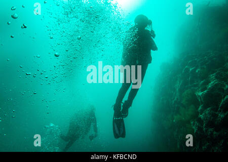 Isole GALAPAGOS, ECUADOR, individui le immersioni nelle acque in prossimità di rocce Gordon Foto Stock