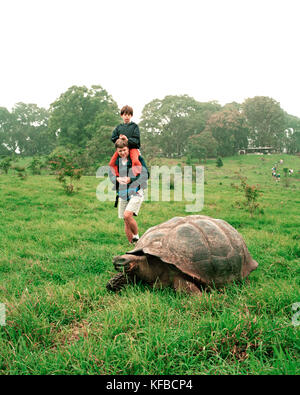 ECUADOR, Galapagos, Isola di Santa Cruz, padre e figlio osservando una tartaruga gigante nelle highlands Foto Stock