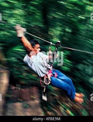 Panama, El valle, la tettoia zip line avventura in le cime degli alberi della giungla, la tettoia advneture, America centrale Foto Stock