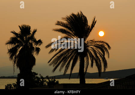 Alberi di palma e il tramonto sul mare egeo Foto Stock
