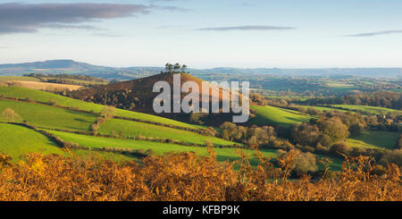 Bridport, Dorset, Regno Unito. Il 27 ottobre 2017. uk meteo. Un autunnale di scena a colmers collina vicino a Bridport in dorset, baciata dal caldo di prima mattina di sole autunnale, visto dal basso eype. Photo credit: Graham hunt/alamy live news Foto Stock