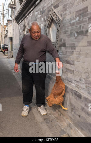 Pechino, Cina. 27 ottobre, 2017. mr. guan jialiang, di 60 anni lavoratore in pensione, alimenta la sua gallina pet denominato dahuang o big giallo nella centrale di Pechino, Cina. mr. guan jialiang e sua moglie signora cui adottato dahuang 6 anno fa quando è stata abbandonata dai suoi ex proprietari. dahuang è una comprensione hen che ama la coca-cola, lei e mis reciprocamente. lou linwei/alamy live news Foto Stock