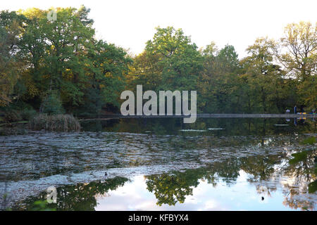 Keston, UK. 27 ottobre, 2017. Il cielo blu e Golden colori autunnali in Keston stagni, Kent. Persone ammirano le opinioni e riflessioni attraverso gli stagni.© Keith Larby/Alamy Live News Foto Stock