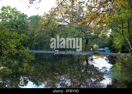 Keston, UK. 27 ottobre, 2017. Il cielo blu e Golden colori autunnali in Keston stagni, Kent. Persone ammirano le opinioni e riflessioni attraverso gli stagni.© Keith Larby/Alamy Live News Foto Stock