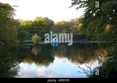 Keston, UK. 27 ottobre, 2017. Il cielo blu e Golden colori autunnali in Keston stagni, Kent. Persone ammirano le opinioni e riflessioni attraverso gli stagni.© Keith Larby/Alamy Live News Foto Stock