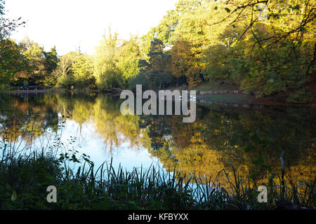 Keston, UK. 27 ottobre, 2017. Il cielo blu e Golden colori autunnali in Keston stagni, Kent. Persone ammirano le opinioni e riflessioni attraverso gli stagni.© Keith Larby/Alamy Live News Foto Stock