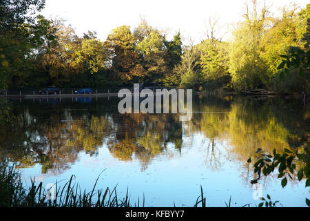 Keston, UK. 27 ottobre, 2017. Il cielo blu e Golden colori autunnali in Keston stagni, Kent. Persone ammirano le opinioni e riflessioni attraverso gli stagni.© Keith Larby/Alamy Live News Foto Stock