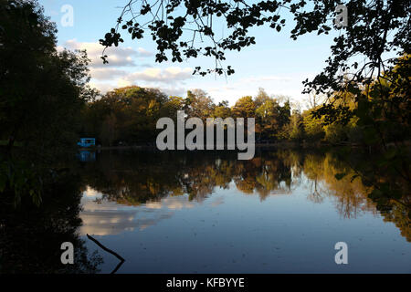 Keston, UK. 27 ottobre, 2017. Il cielo blu e Golden colori autunnali in Keston stagni, Kent. Persone ammirano le opinioni e riflessioni attraverso gli stagni.© Keith Larby/Alamy Live News Foto Stock