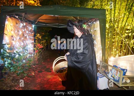 Abbotsbury, DORSET REGNO UNITO 27 ottobre 2017 centinaia di persone hanno visitato per vedere i washer nel giardino subtropicale questa sera. 27 ottobre, 2017. abbotsbury, Dorset, Regno Unito. Credito: ajit stoppino/alamy live news Foto Stock