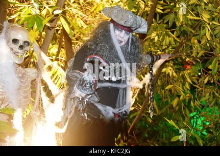 Abbotsbury, DORSET REGNO UNITO 27 ottobre 2017 centinaia di persone hanno visitato per vedere i washer nel giardino subtropicale questa sera. 27 ottobre, 2017. abbotsbury, Dorset, Regno Unito. Credito: ajit stoppino/alamy live news Foto Stock