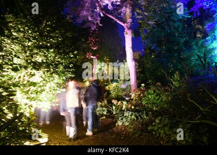 Abbotsbury, DORSET REGNO UNITO 27 ottobre 2017 centinaia di persone hanno visitato per vedere i washer nel giardino subtropicale questa sera. 27 ottobre, 2017. abbotsbury, Dorset, Regno Unito. Credito: ajit stoppino/alamy live news Foto Stock