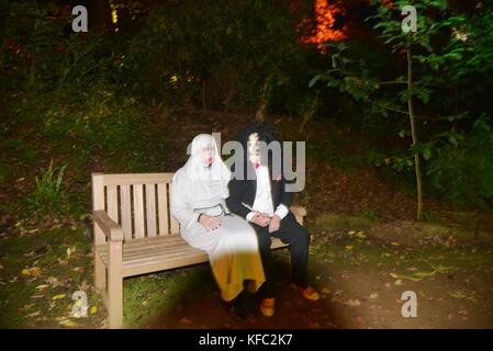 Abbotsbury, Dorset UK 27th ottobre 2017 centinaia di persone hanno visitato questa sera per vedere i riflettori nel giardino subtropicale. 27th ottobre 2017. Abbotsbury, Dorset, Regno Unito. Credit: Ajit Wick/Alamy Live News Foto Stock