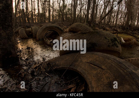 Una zona umida inquinato in North Carolina che è stato usato come un dumping illegale sito per pneumatici. Foto Stock