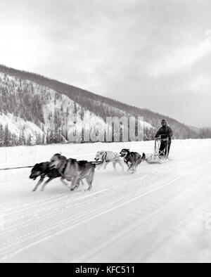 Stati Uniti d'America, Alaska, chena, un uomo prende il suo team dogsled fuori per un corso di formazione per funzionare a chena hot springs (b&W) Foto Stock