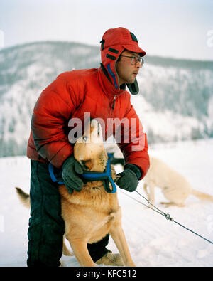 Stati Uniti d'America, Alaska, chena, un uomo prepara il suo dogsled team per un corso di formazione per eseguire, chena hot springs Foto Stock