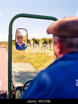 AUSTRIA, Morbisch, ritratto di agricoltore Fischler Helmut durante il raccolto, Burgenland Foto Stock