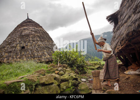 Indonesia, Flores, Maria nedi prepara il caffè nel villaggio di montagna di wae rebo Foto Stock