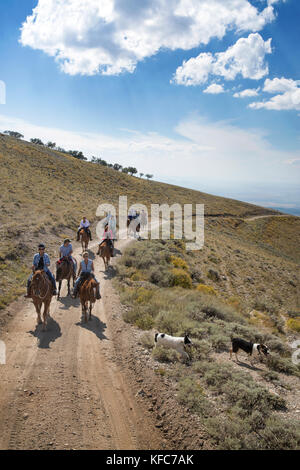 Stati Uniti d'America, Nevada, pozzi, gli ospiti possono partecipare a equitazione escursioni durante il loro soggiorno a mustang monumento, un lusso sostenibile eco friendly ri Foto Stock