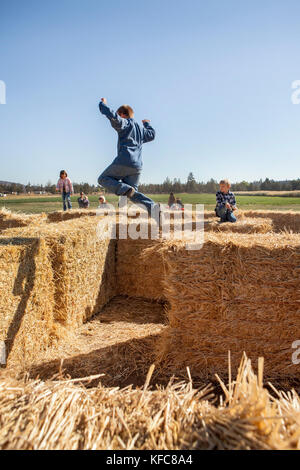 Stati Uniti d'America, oregon, piegare i bambini giocano sul fieno labirinto all'annuale zucca patch situato in terrebone vicino a Smith rock state park Foto Stock