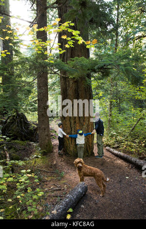 Stati Uniti d'America, Oregon, Oregon Cascades, una giovane famiglia escursioni fuori per il proxy cade situato fuori la mckenzie passano sulla Hwy 242, la wilamette national forest Foto Stock