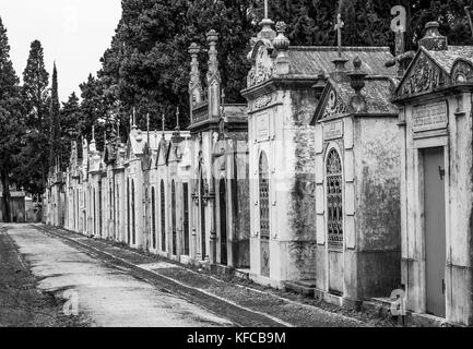 Tombe e lapidi nel cimitero di Prazeres, Lisbona, Portogallo. prazeres è un ex parrocchia civile (freguesia) nella città e municipalità di Lisbona. Foto Stock