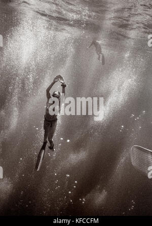 Isole Cayman, Grand Cayman, canadien nazionale team apnea pratiche di concorrenza nel mar dei Caraibi (b&W) Foto Stock