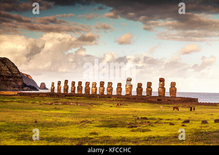 Isola di Pasqua, Cile, Isla de Pascua, Rapa Nui, cavalli pascolano nella parte anteriore del moai statue a ahu tongariki site alla base del vulcano poike Foto Stock