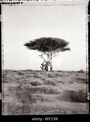 ERITREA, Asmara, un uomo che si trova nel deserto sotto un albero di Acacia alla periferia di Asmara (B&W) Foto Stock