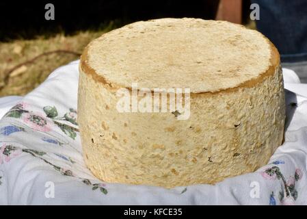 Capre artigianale del formaggio di latte round realizzato da Door County Creamery in Door County comunità di suor Bay, Wisconsin, Stati Uniti d'America. Foto Stock